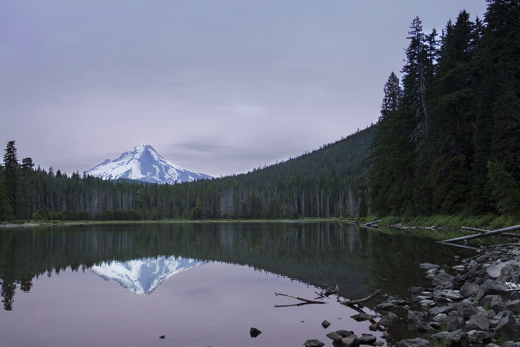 Forest and a snow-covered peak reflected in still water